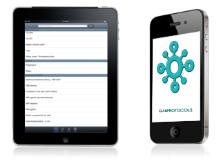 webkit interface